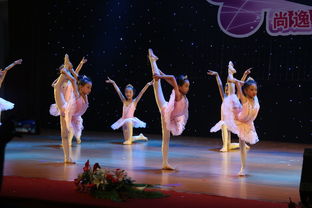 專業攝影攝像服務，定格新會最美瞬間